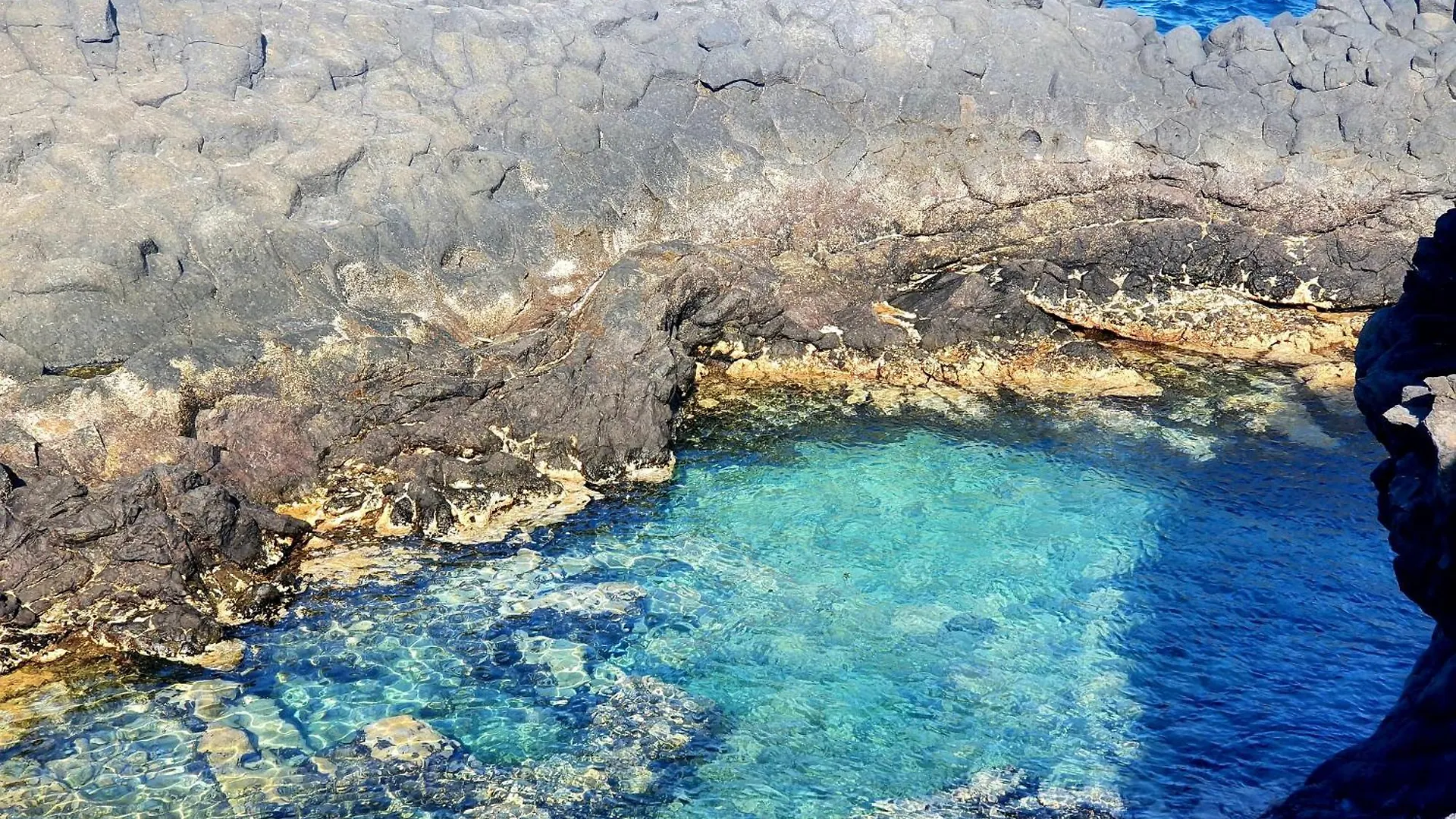 ヴィラ Finca Los Loros Icod De Los Vinos By Hrtenerife Net サンタクルスデテネリフェ